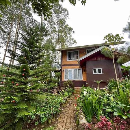 Dahilayan Comfy Cabin Manolo Fortich Екстериор снимка
